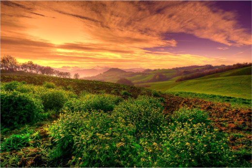 770924 (a): :2200x1462